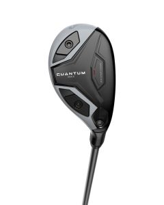 Quantum Max, Hybrid, Herre