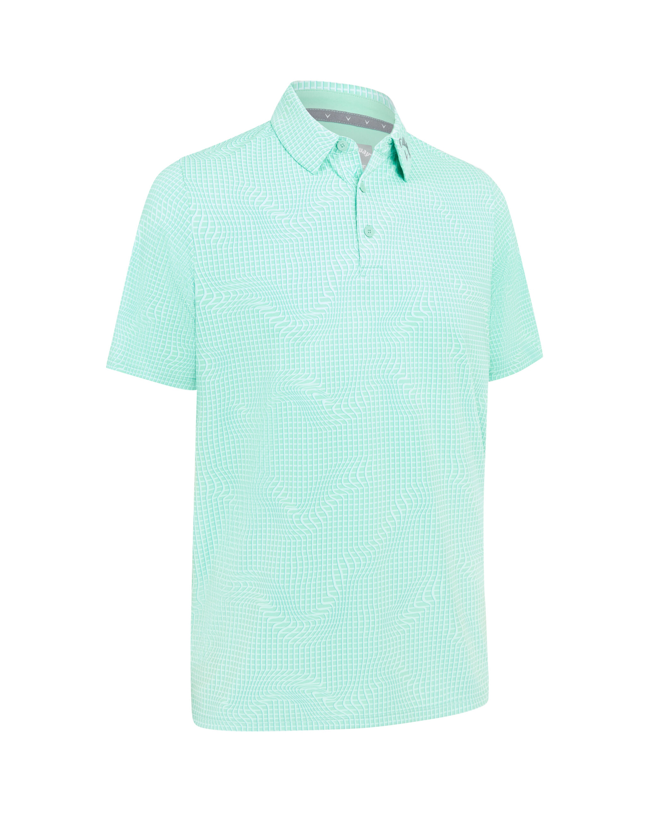 Warped Gingham Print, Polo, Herre - neptune_green