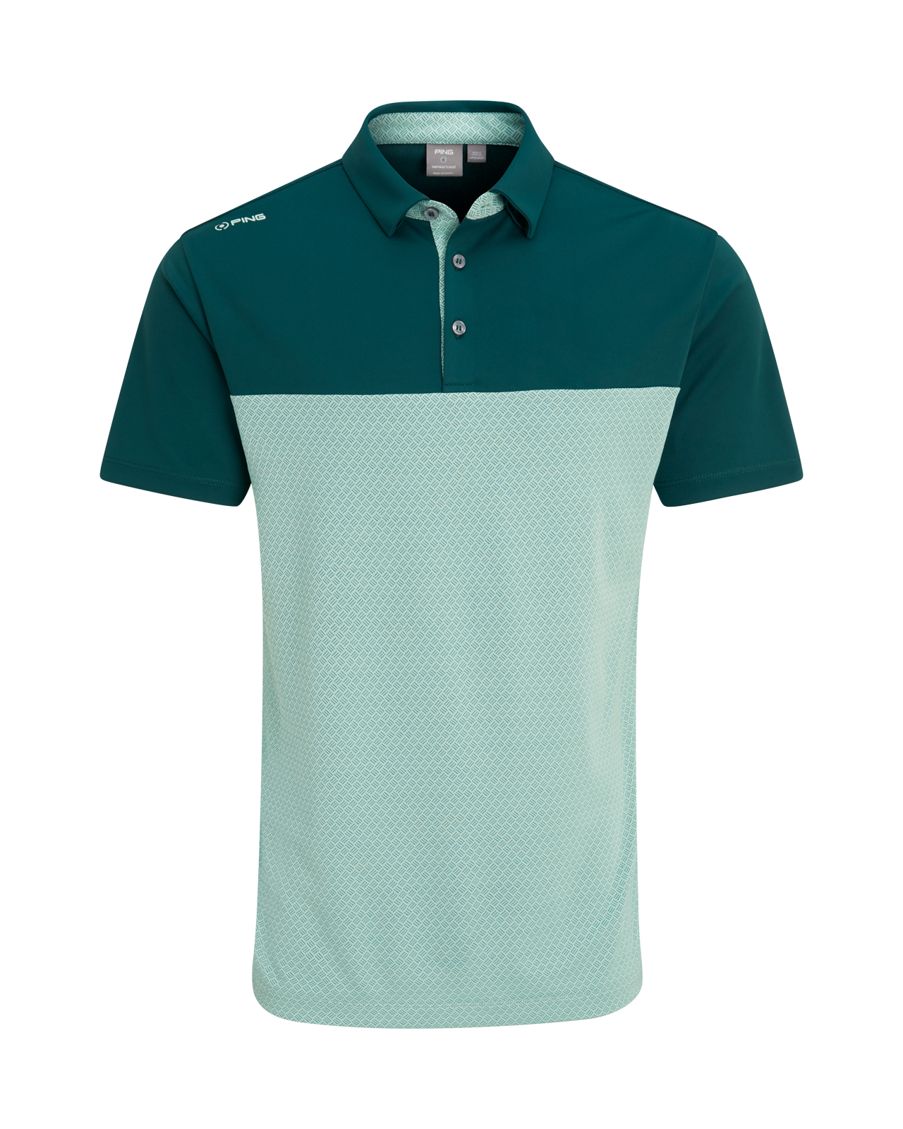 Hall, Polo, Herre - forest_misty_green