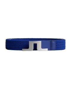 26930:clematis_blue